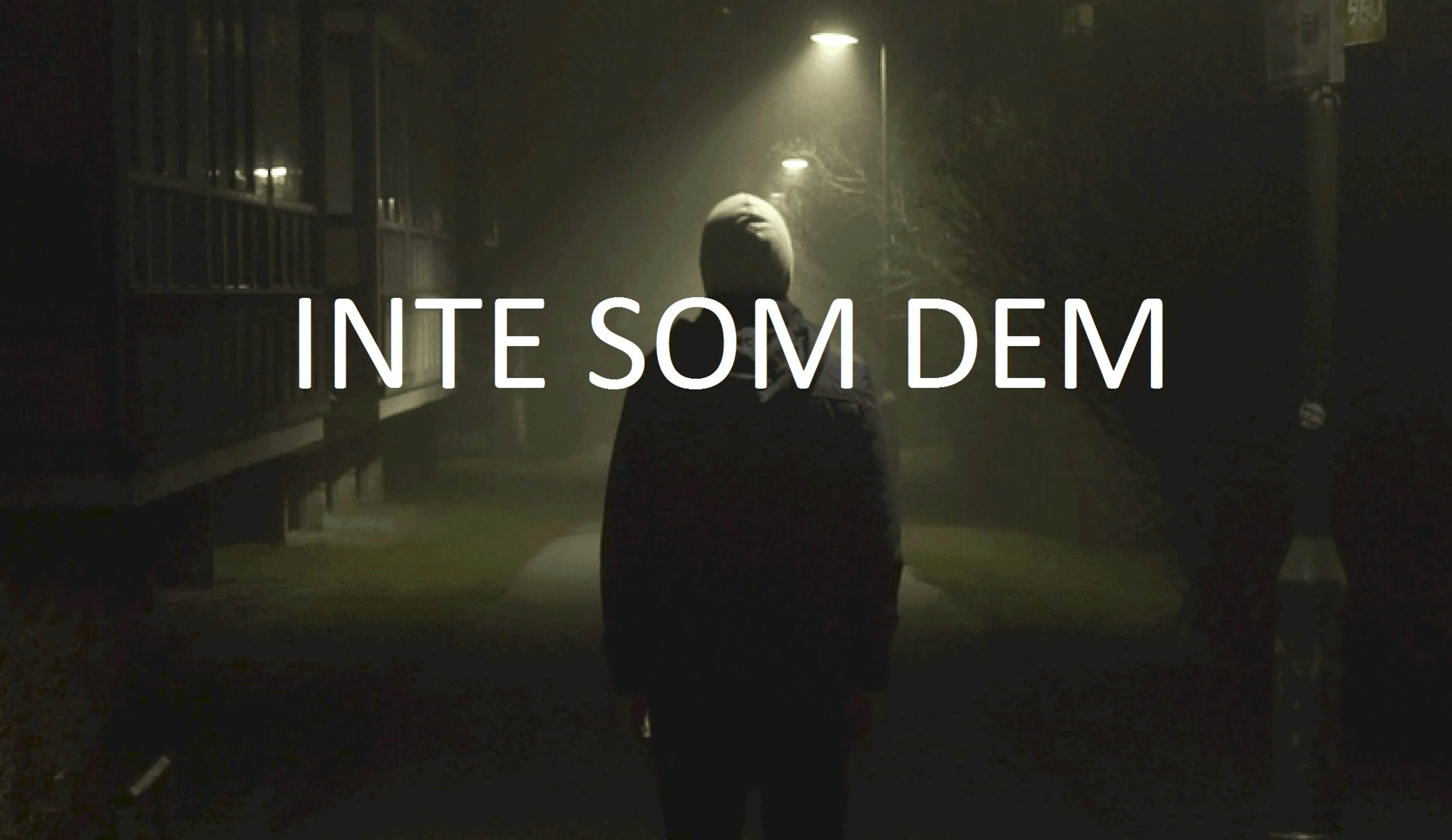 Inte Som Dem poster